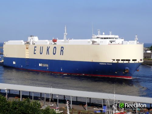 电动车“惹祸”？安吉物流汽车运输船起火